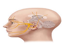 Head surgery in Nashik | Brain tumor surgery in Nashik - Dr.Sanjeev Desai