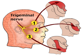 Head surgery in Nashik | Brain tumor surgery in Nashik - Dr.Sanjeev Desai